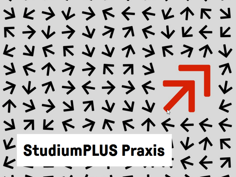 Partner company of Karlsruhe University of Applied Sciences for StudiumPLUS Experience